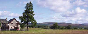 Photograph of view at Tomatin